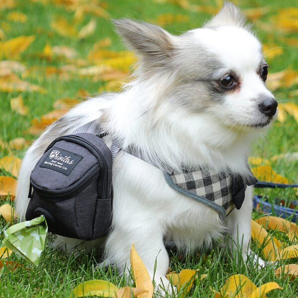 Dog Walking Bag Dog Poop Bag Popular Simple Pet Poop Outdoor Snacks Garbage Bag